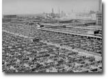 Viehmastgroßbetriebe in Chicago, 1947